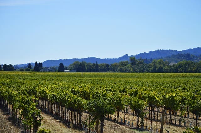 Sonoma County, Californien