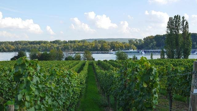 Vinmark