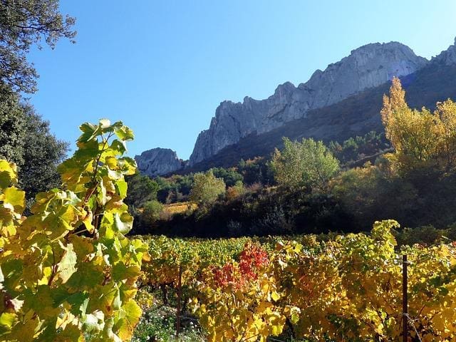 Naturen i Provence, Frankrig